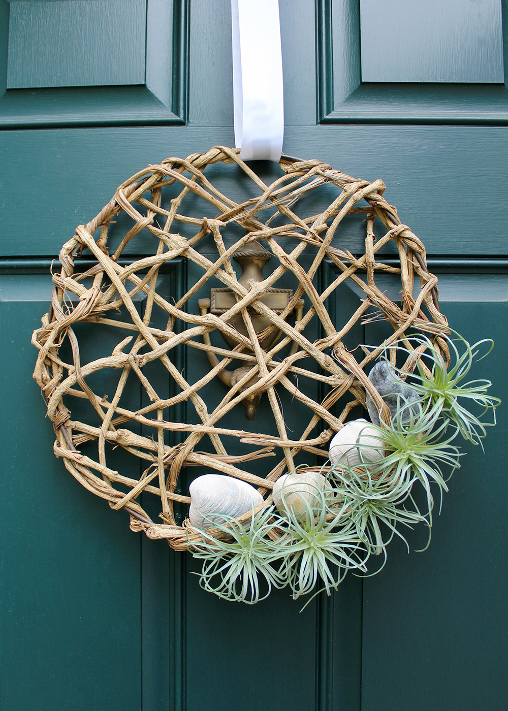 Make This Air Plant Wreath with Seashells