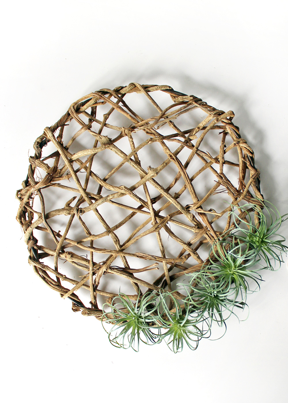 attachthefivefauxairplantstothewreath2Cwrappinguntilsecureformat1500w | Tag and Tibby