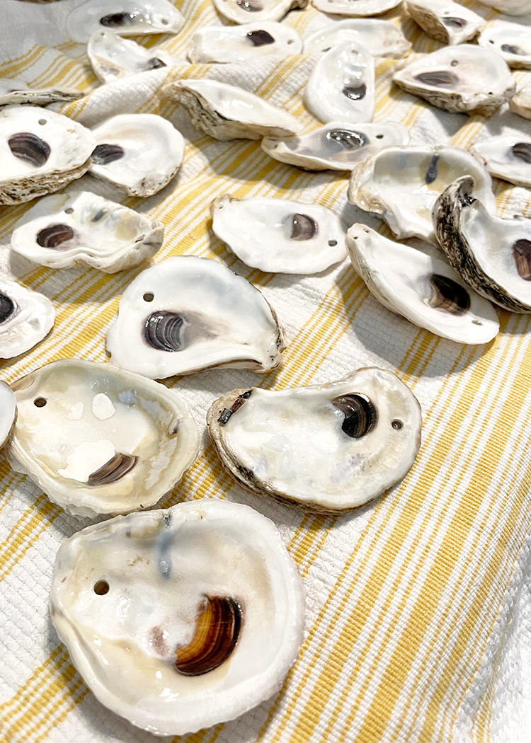 How To Make a Dried Oyster Shell Craft