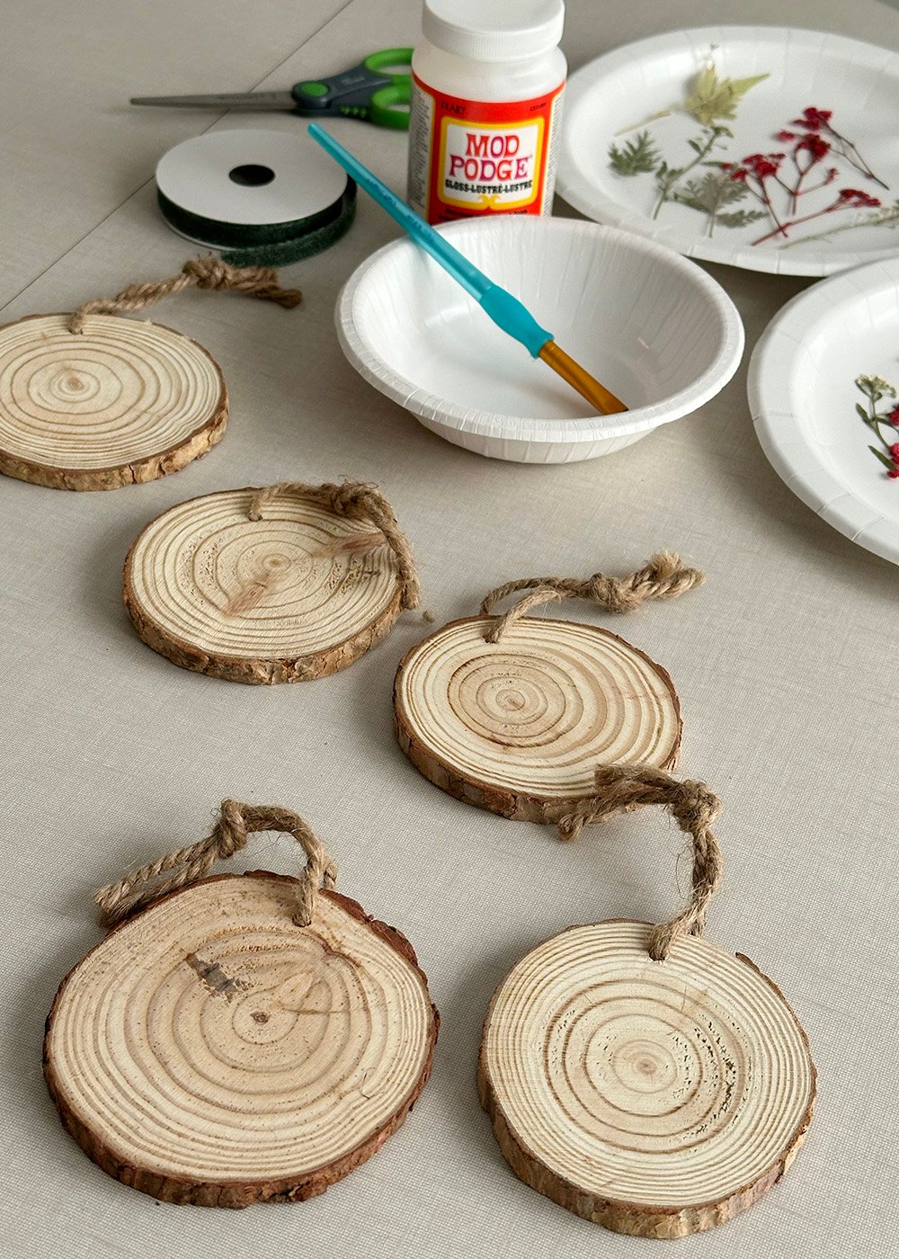 woodslabornamentsupplies | Tag and Tibby Make wood slice ornaments with pressed flowers, supplies including mod podge